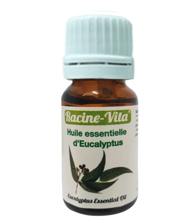 racine vita huile essentielle de eucalyptus