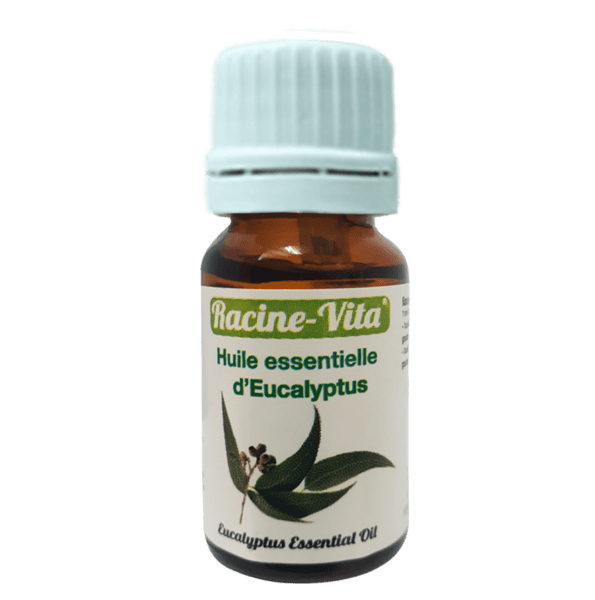 racine vita huile essentielle de eucalyptus